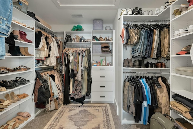 view of spacious closet