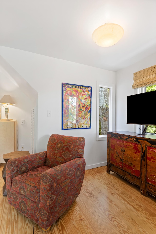 living room with a wealth of natural light and light wood-type flooring