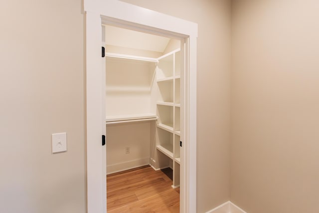 spacious closet featuring light wood finished floors