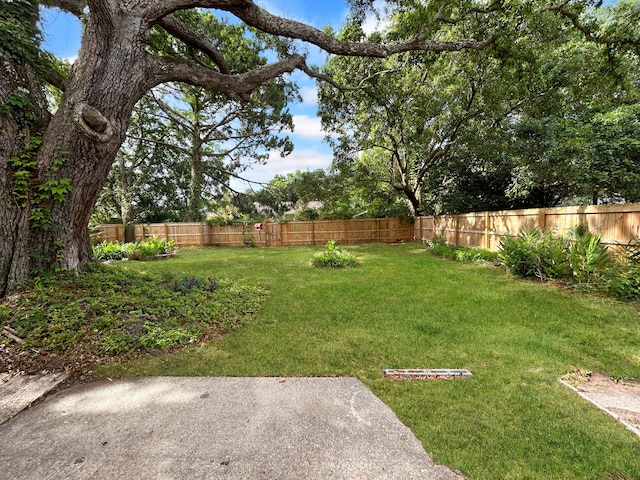 1481 Woodview Ln, Charleston, SC 29412 - view of fenced backyard