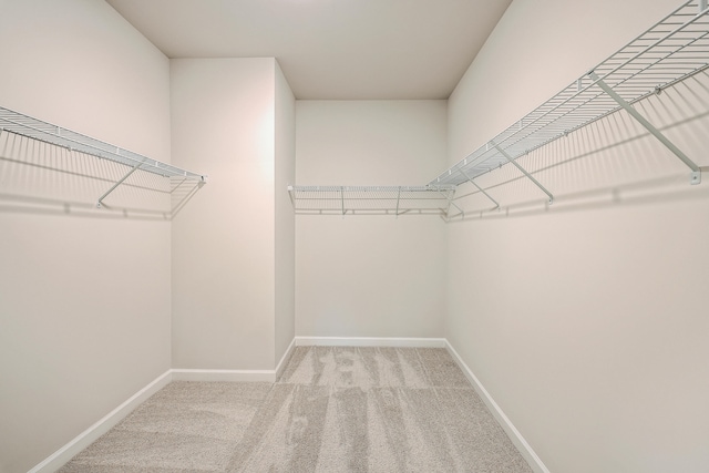 walk in closet with carpet floors