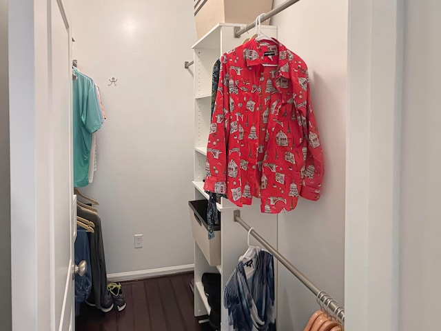 spacious closet featuring hardwood / wood-style flooring