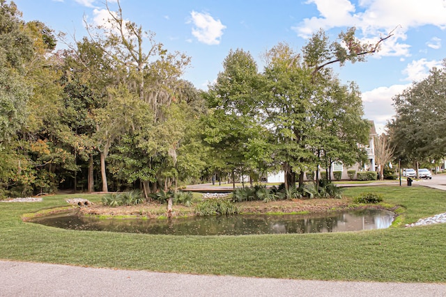 view of community featuring a water view and a lawn