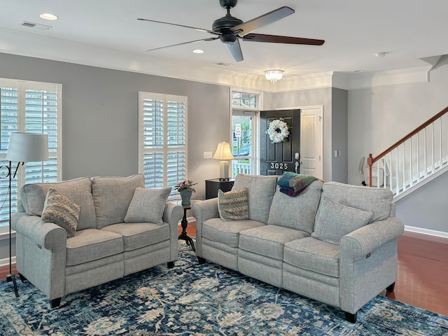 living room with a wealth of natural light, dark hardwood / wood-style floors, crown molding, and ceiling fan