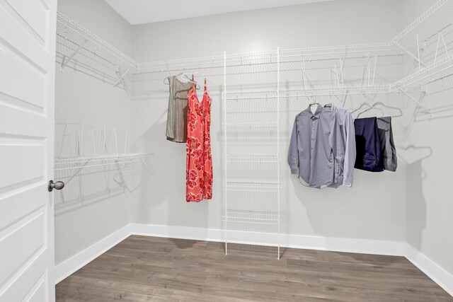 779 Forrest Dr, Charleston, SC 29492 - spacious closet with wood finished floors