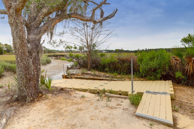 779 Forrest Dr, Charleston, SC 29492 - view of yard