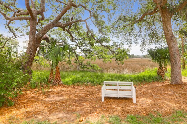 779 Forrest Dr, Charleston, SC 29492 - view of yard