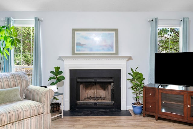 1227 Ocean View Rd, Charleston, SC 29412 - living room featuring a fireplace with flush hearth, wood finished floors, and healthy amount of natural light