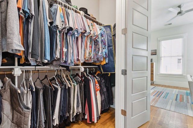 spacious closet featuring ceiling fan and hardwood / wood-style floors