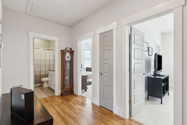 corridor featuring hardwood / wood-style flooring