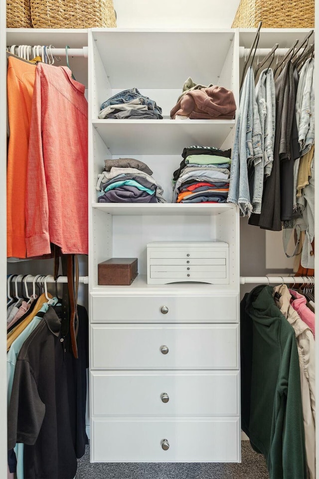 view of spacious closet