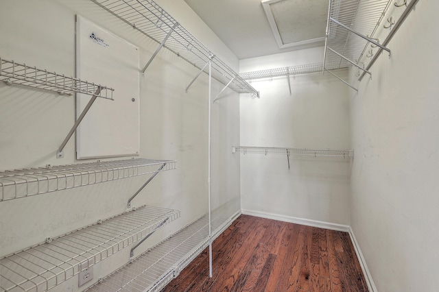 spacious closet featuring wood finished floors