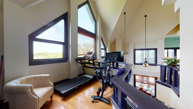 268 Little Oak Island Dr, Folly Beach, SC 29439 - workout room featuring a high ceiling, a wealth of natural light, and wood-type flooring
