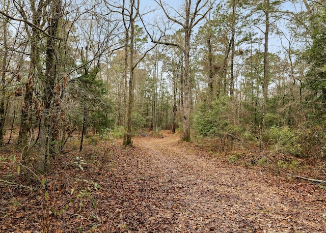 0 Santee River Rd, Saint Stephen SC, 29479 land for sale