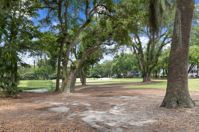 3226 Waverly Ln, Johns Island, SC 29455 - view of yard
