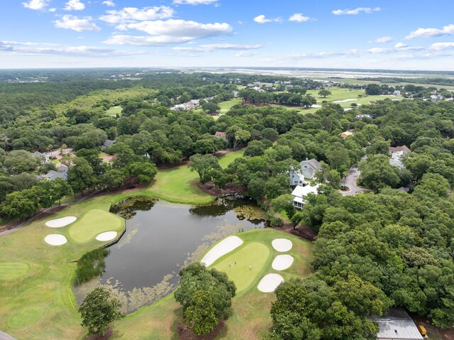 3226 Waverly Ln, Johns Island, SC 29455 - drone / aerial view of a large body of water and a golf course