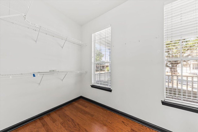 walk in closet featuring wood finished floors