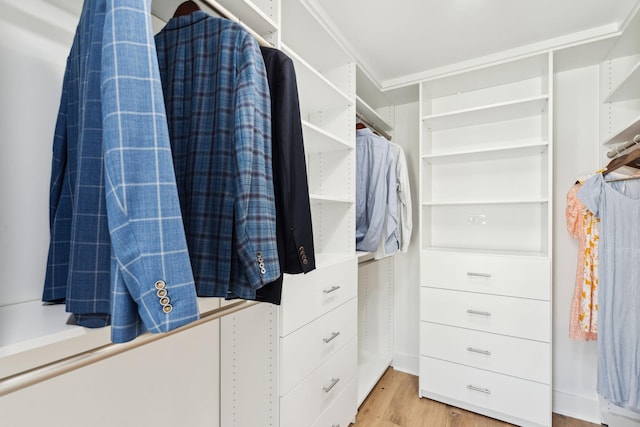 313 E Arctic Ave, Folly Beach, SC 29439 - walk in closet with light wood finished floors