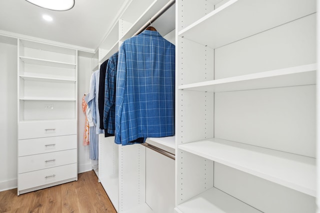 313 E Arctic Ave, Folly Beach, SC 29439 - walk in closet featuring light wood-style floors