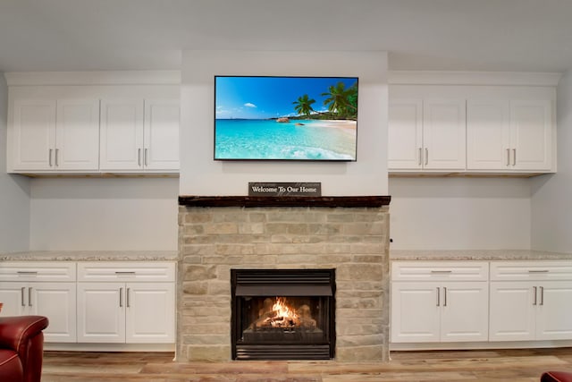 living area featuring light wood-type flooring and a fireplace