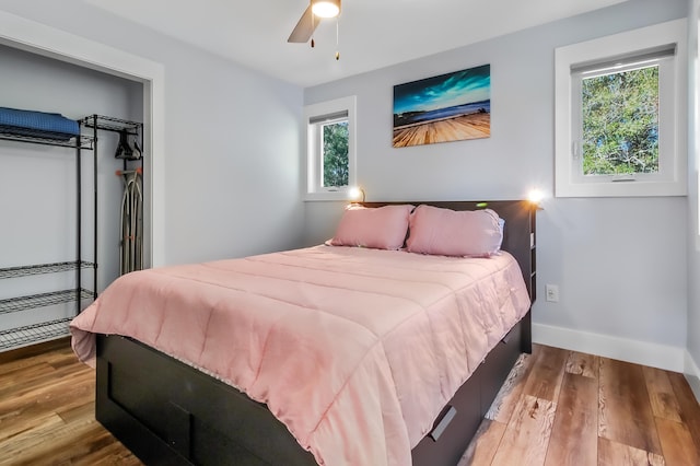 bedroom featuring multiple windows, wood finished floors, and baseboards