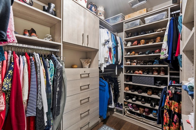 2331 Brinkley Rd, Johns Island, SC 29455 - spacious closet with dark wood-style floors