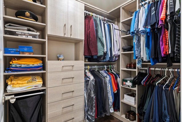 2331 Brinkley Rd, Johns Island, SC 29455 - view of spacious closet