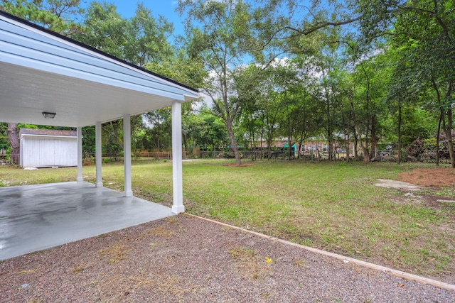 view of yard with a patio and a storage shed