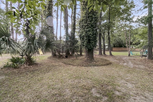 2467 Bergeron Way, Mount Pleasant, SC 29466 - view of yard