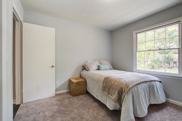 bedroom with carpet floors