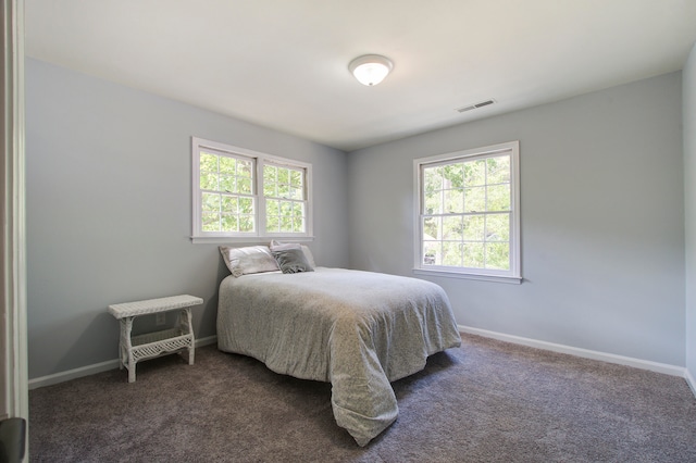 carpeted bedroom featuring multiple windows