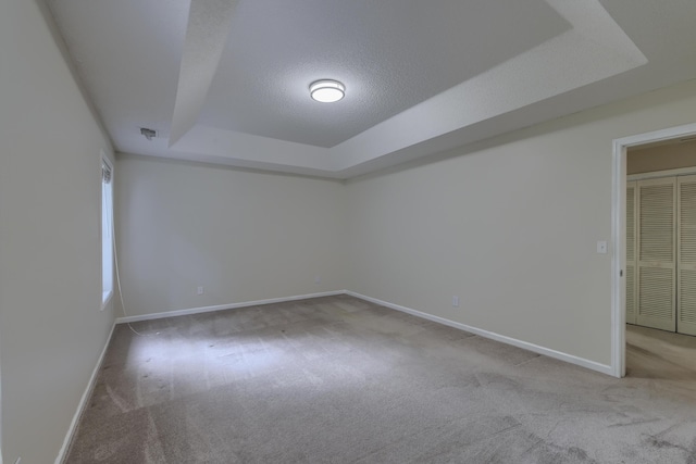 1616 Dotterers Run, Charleston, SC 29414 - spare room with a raised ceiling, carpet flooring, and a textured ceiling