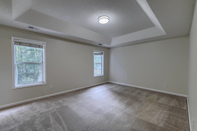 1616 Dotterers Run, Charleston, SC 29414 - carpeted empty room featuring a tray ceiling and a textured ceiling