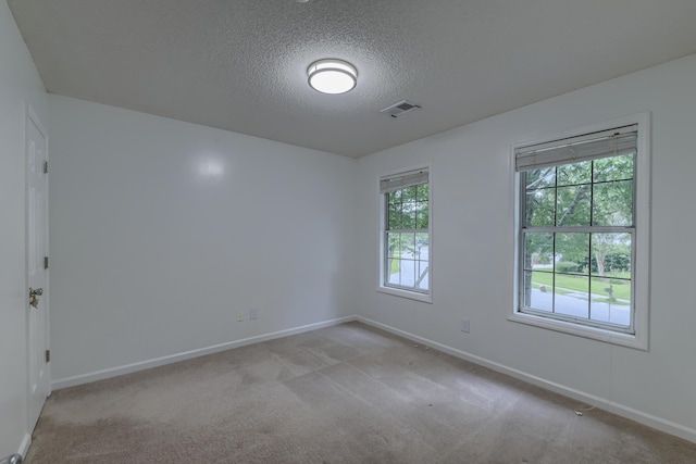 1616 Dotterers Run, Charleston, SC 29414 - spare room with a textured ceiling and light carpet