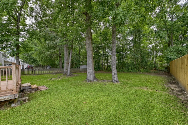 1616 Dotterers Run, Charleston, SC 29414 - fenced backyard with a deck