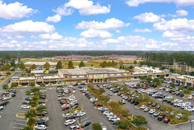 364 Deep River Rd, Summerville, SC 29486 - birds eye view of property