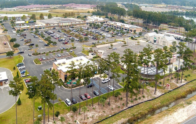 364 Deep River Rd, Summerville, SC 29486 - drone / aerial view