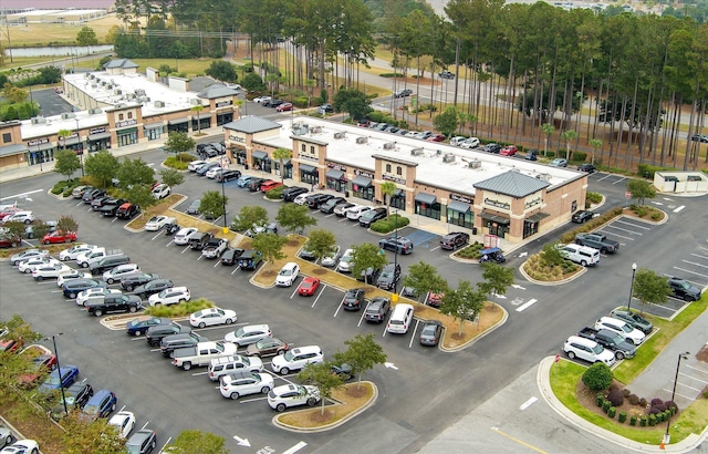 364 Deep River Rd, Summerville, SC 29486 - bird's eye view