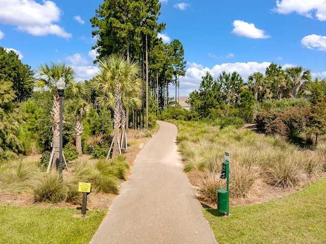 364 Deep River Rd, Summerville, SC 29486 - view of property's community