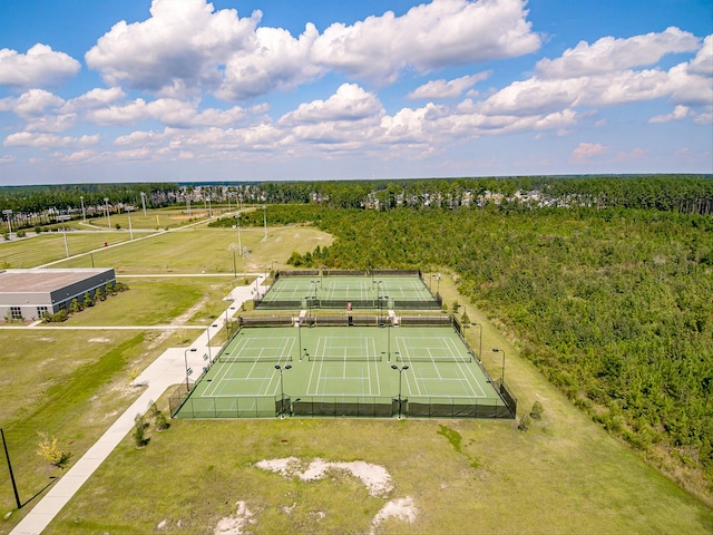 364 Deep River Rd, Summerville, SC 29486 - aerial view