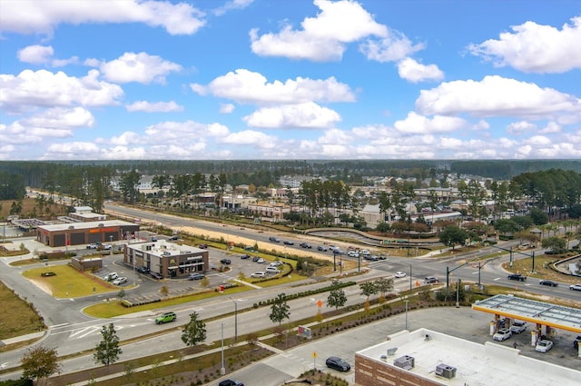 364 Deep River Rd, Summerville, SC 29486 - birds eye view of property