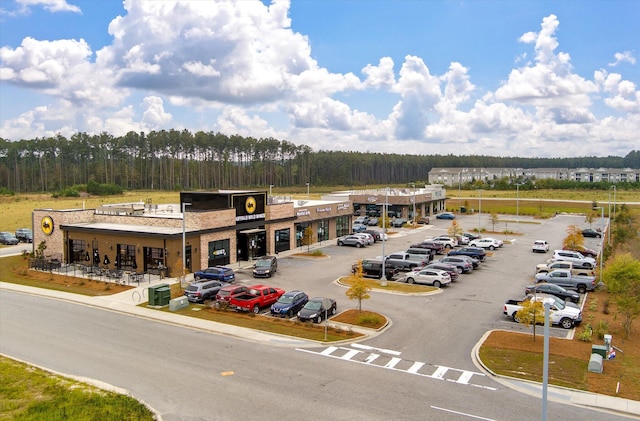 364 Deep River Rd, Summerville, SC 29486 - birds eye view of property