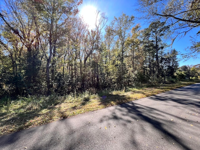 00 Shoofly Rd, Ridgeville SC, 29472 land for sale