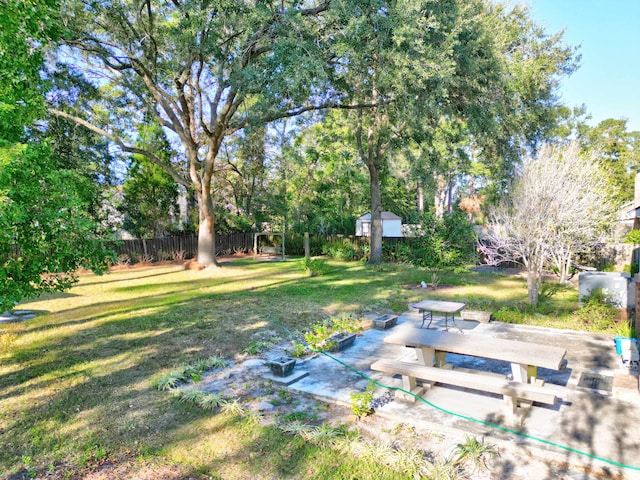 view of yard featuring a patio area and a storage unit