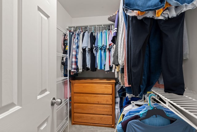 214 Blackstone Dr, Moncks Corner, SC 29461 - view of walk in closet