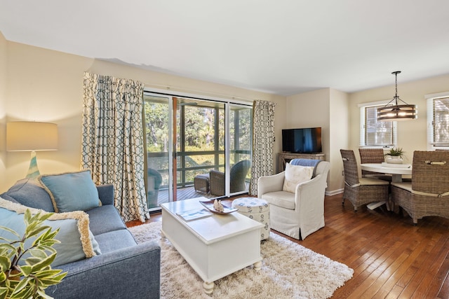 living room with wood-type flooring and a healthy amount of sunlight