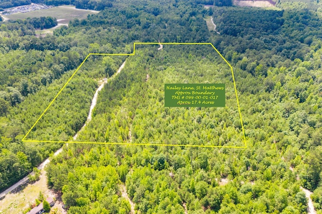 0 Hailey Ln, Saint Matthews SC, 29135 land for sale