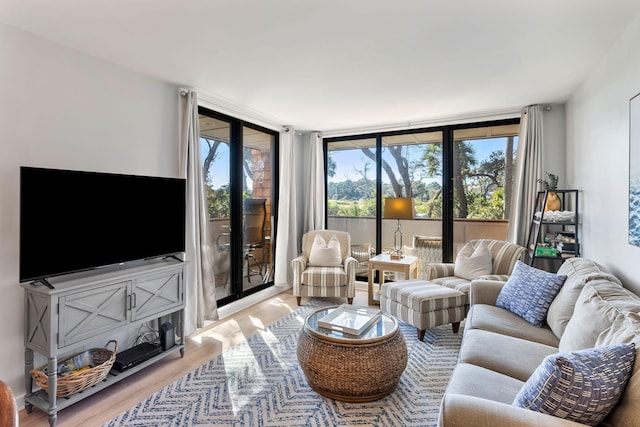 living room with light hardwood / wood-style floors and a wall of windows