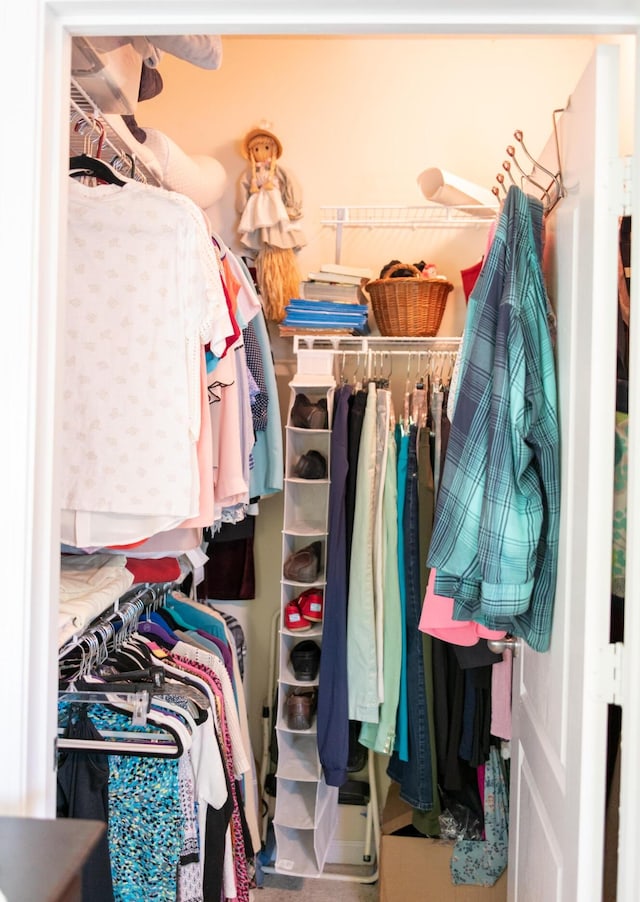 view of walk in closet