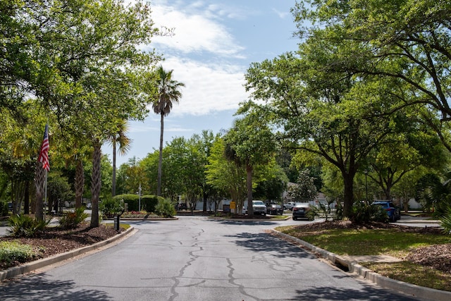 view of street with curbs